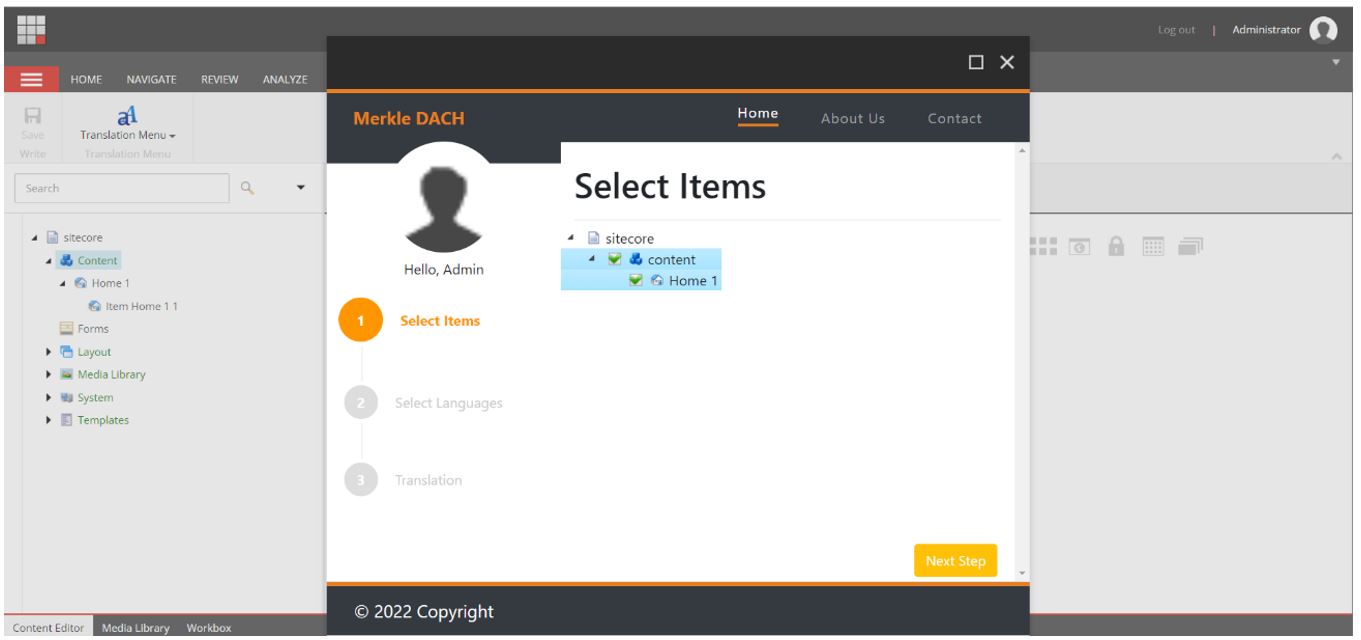 Select items to translate alt text